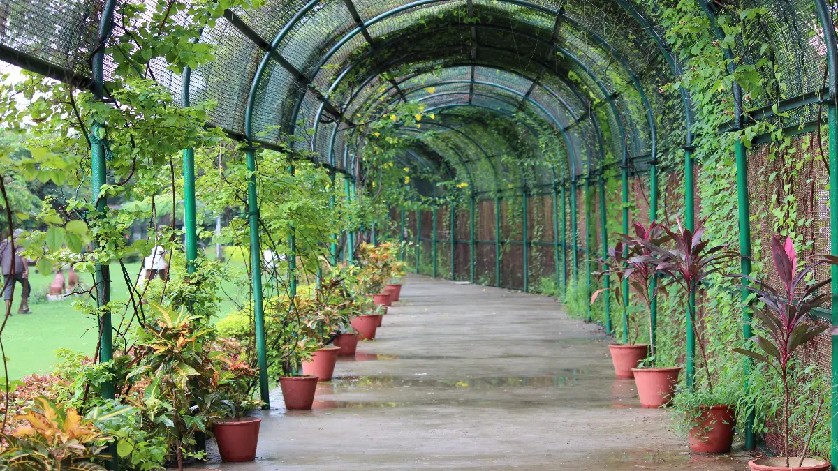 Sneh Rashmi Botanical Garden - Surat